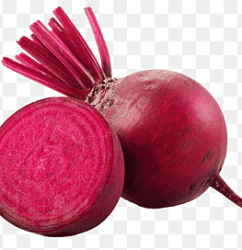 png-clipart-purple-turnip-illustration-organic-food-sugar-beet-beetroot-root-vegetables-beetroot-food-fruit-thumbnail.png
